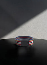 Big Red Elastic Money Bands